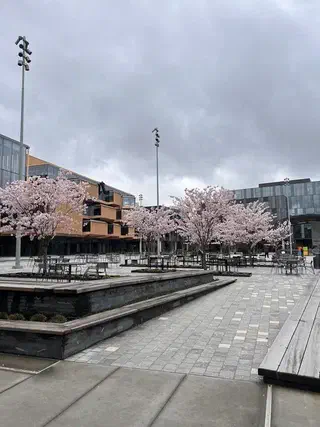 Walking across the plaza of the new building complex on the Microsoft Campus